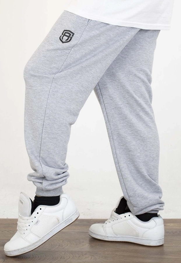 Dresy Street Autonomy Basic szare