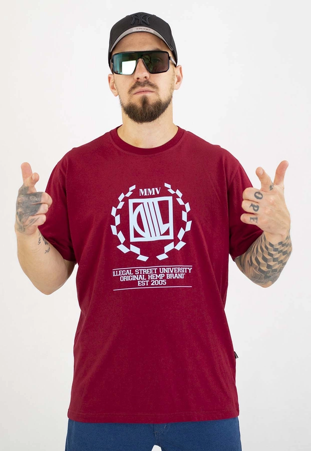 T-shirt Diil Laur bordowo błękitny