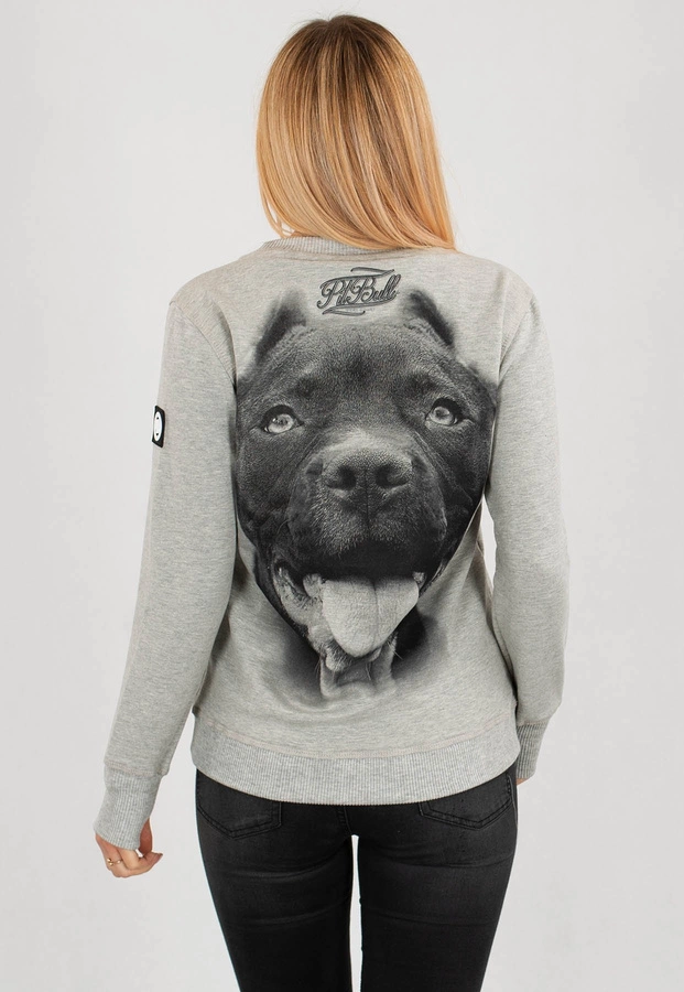 Bluza Pit Bull IR szara