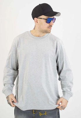 Longsleeve Stoprocent Tag Haftbark szary