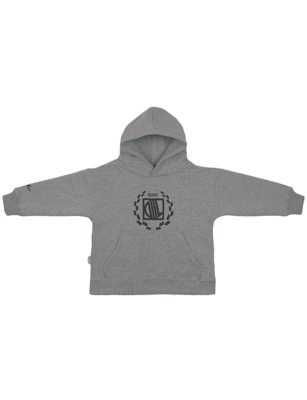 Bluza Diil Kids Z Kapturem Laur szara