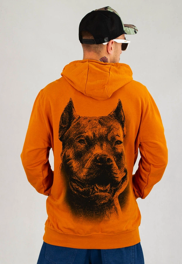 Bluza Pit Bull Red Nose miodowo żółta