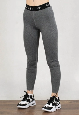 Legginsy 4F SPDF351 szare