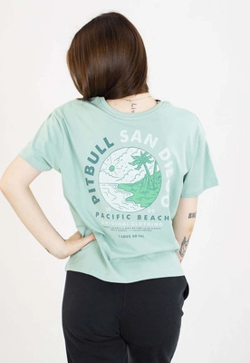 T-Shirt Pit Bull Oversize Planet Surf 170 light mint
