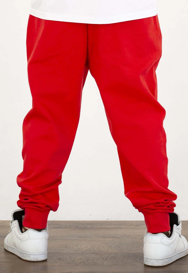 Dresy Pit Bull Dogwood red