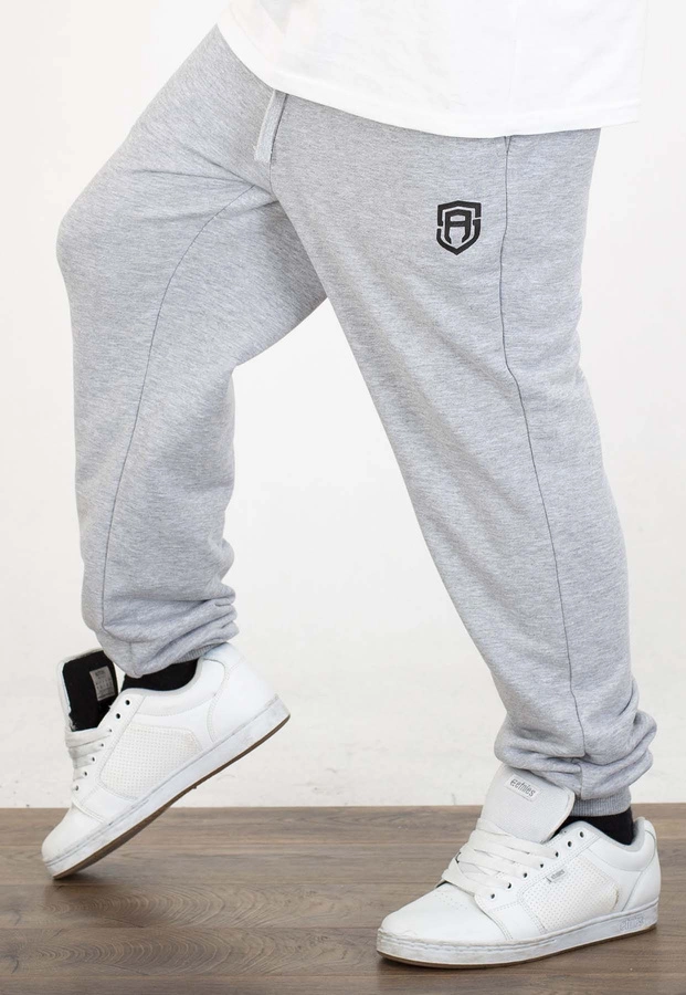 Dresy Street Autonomy Basic szare