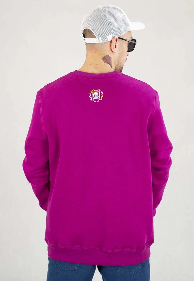 Bluza Diil Bez Kaptura Small Color fioletowa