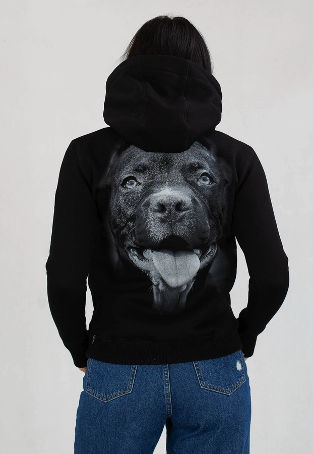 Bluza Pit Bull IR czarna