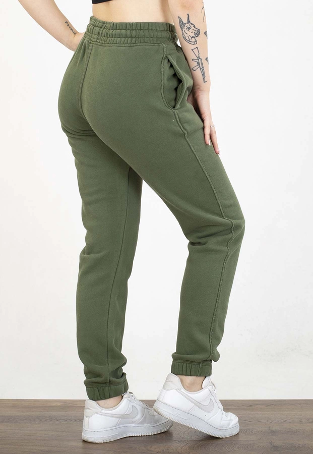 Dresy Pit Bull Lovia washed sage green