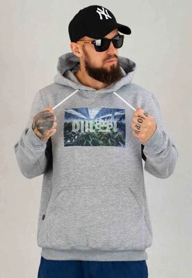 Bluza Diil Z Kapturem Plants szara