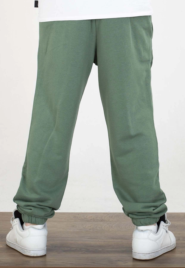 Dresy 4F Regular CAS M1272 zielone