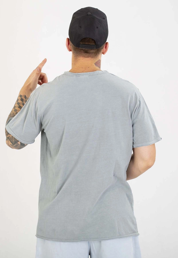 T-shirt Pit Bull Open Beach 190 grey