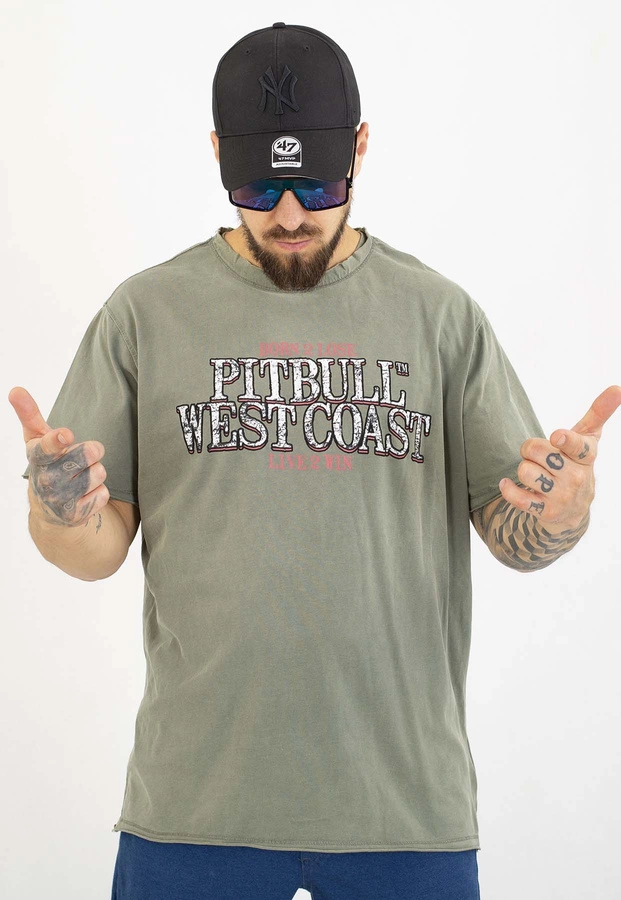 T-shirt Pit Bull Ace Of Spades II 190 muted green