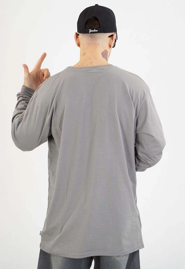 Longsleeve Diil Splash szary