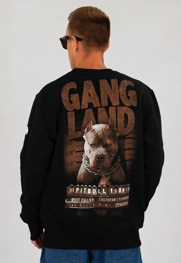 Bluza Pit Bull Mugshot czarna