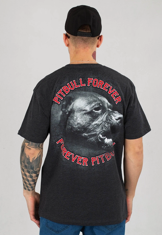 T-shirt Pit Bull Pffp grafitowy melanż