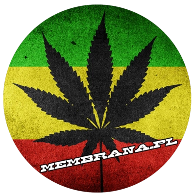 Wlepa Rasta