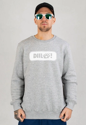 Bluza Diil Frame szara