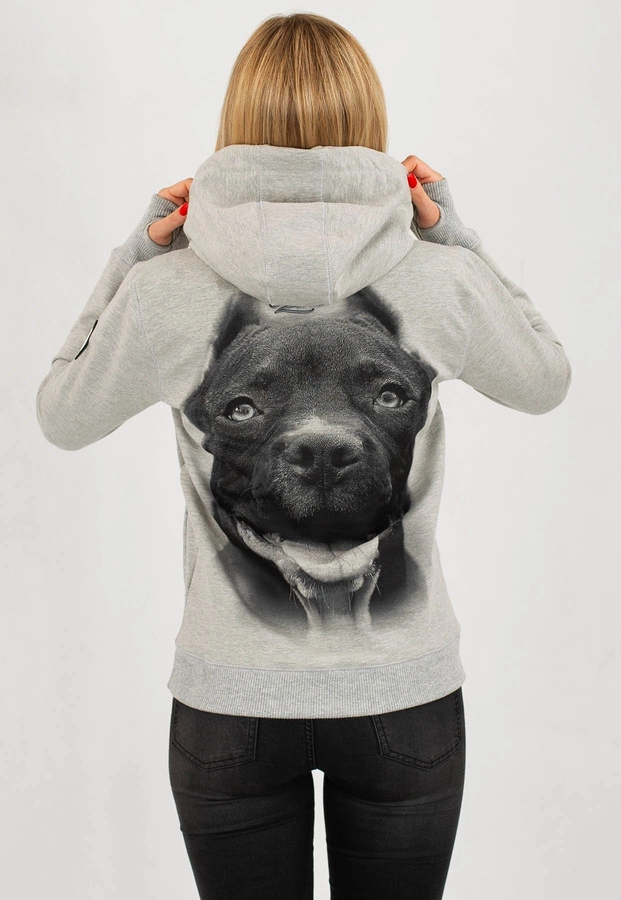 Bluza Pit Bull IR szara