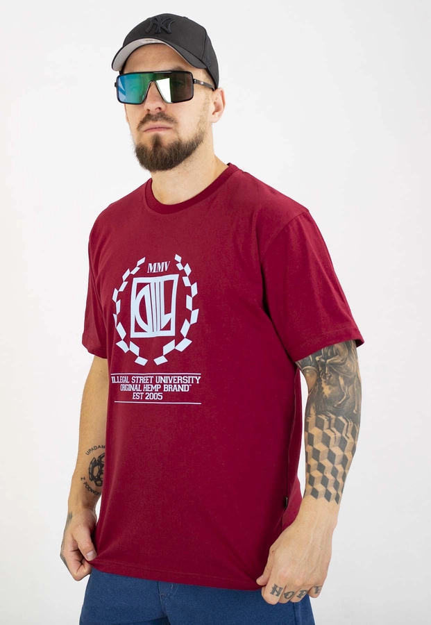 T-shirt Diil Laur bordowo błękitny