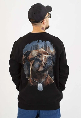 Bluza Pit Bull Bez Kaptura Hero czarna