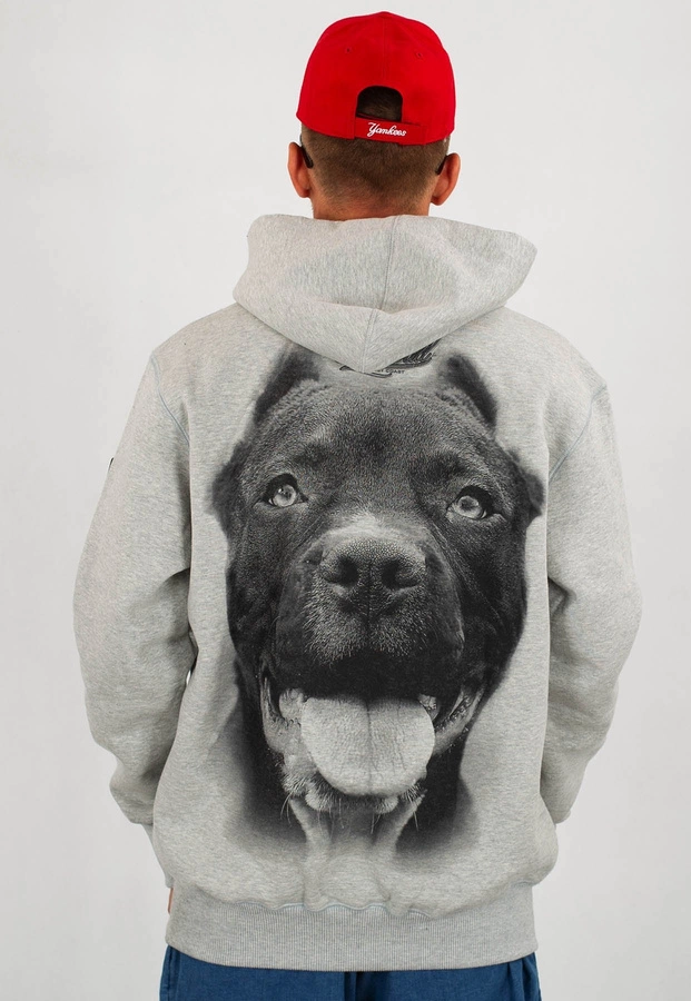 Bluza Pit Bull Ir szara