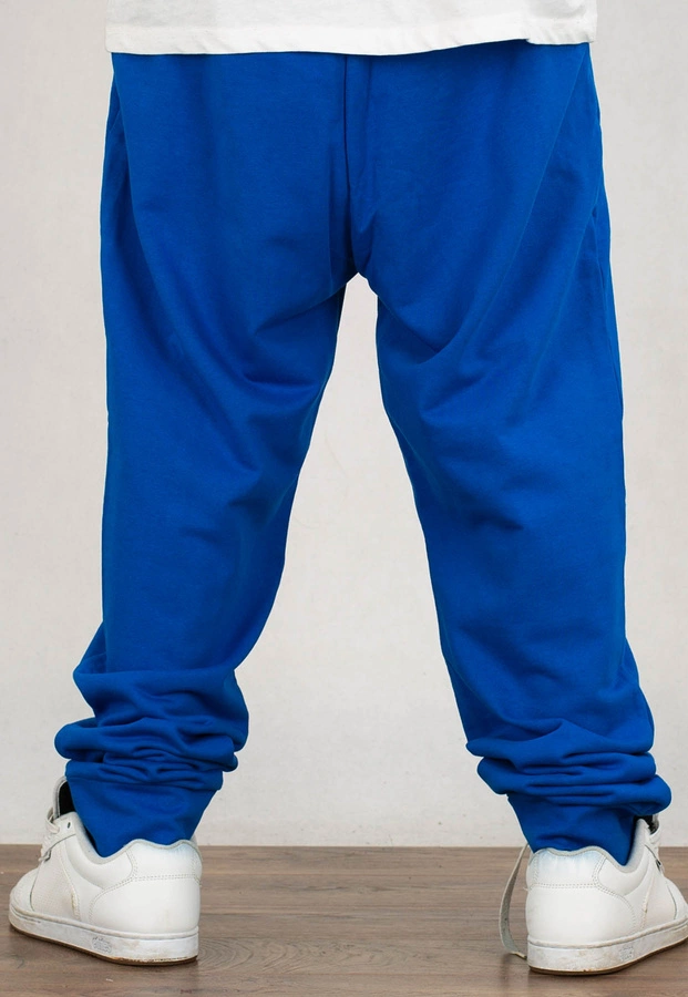 Dresy Pit Bull Trackpants Small Logo Terry Group niebieskie