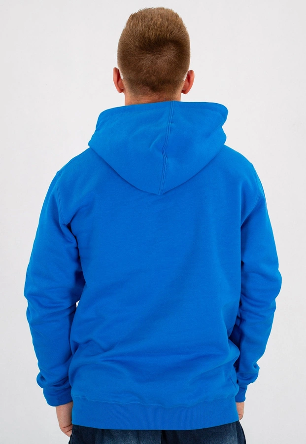 Bluza Patriotic P Big Flag niebieska