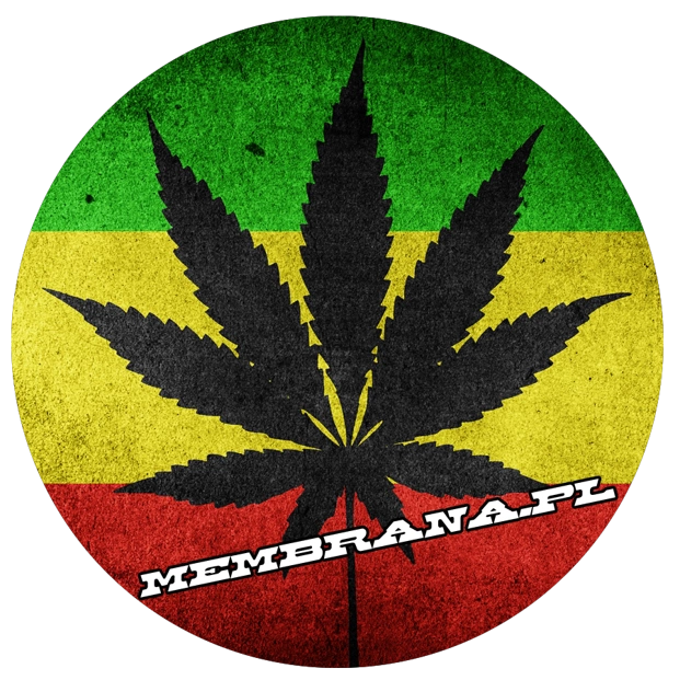 Wlepa Rasta