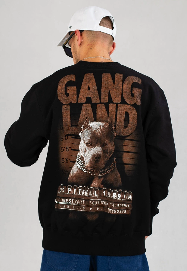 Bluza Pit Bull Mugshot czarna