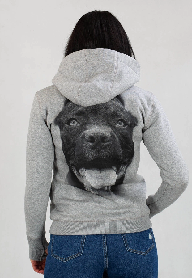 Bluza Pit Bull IR szara