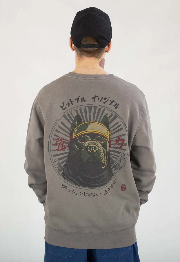 Bluza Pit Bull Bez Kaptura MT Fuji washed grey