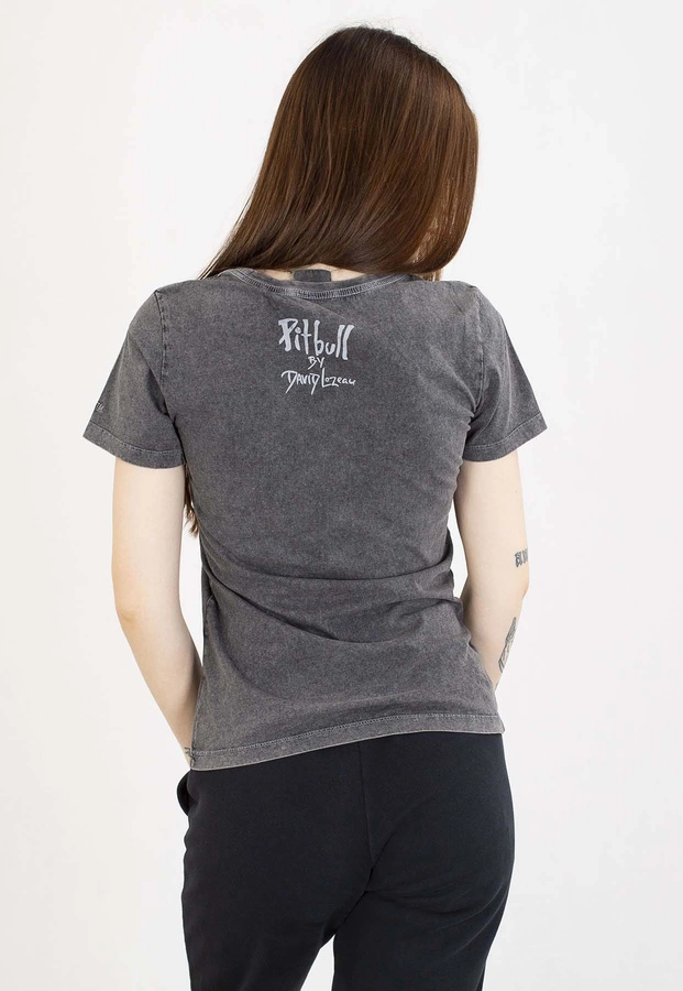 T-Shirt Pit Bull Doubletrouble 190 washed grey