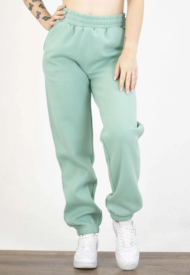 Dresy Pit Bull Tulla light mint