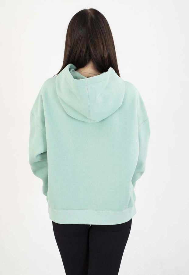 Bluza Pit Bull Z Kapturem California light mint