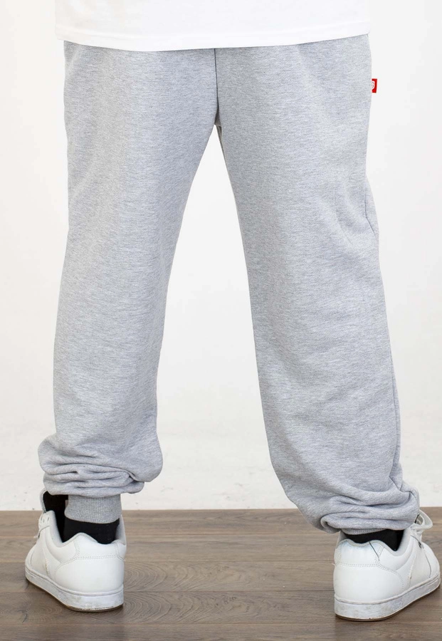 Dresy Street Autonomy Basic szare