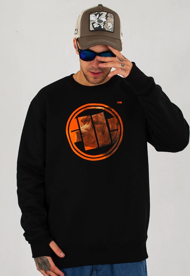 Bluza Pit Bull Orange Dog czarna