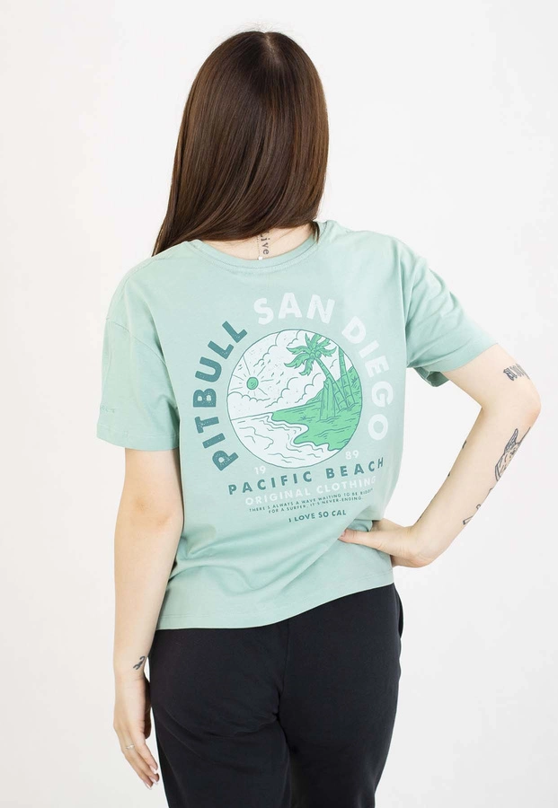 T-Shirt Pit Bull Oversize Planet Surf 170 light mint