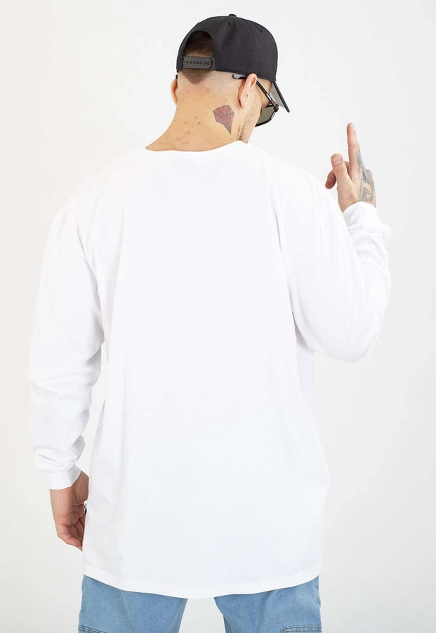 Longsleeve Diil Laur biało niebieski