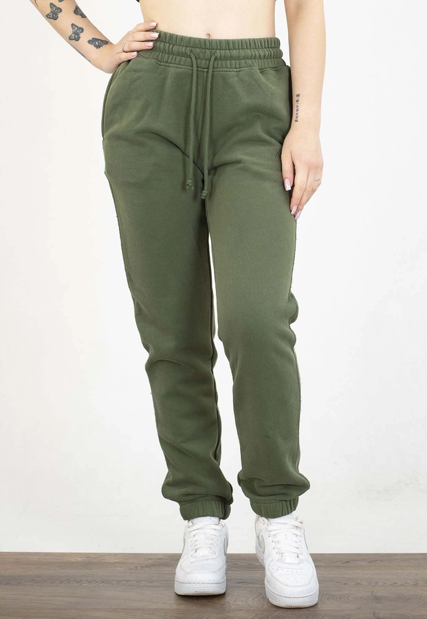 Dresy Pit Bull Lovia washed sage green