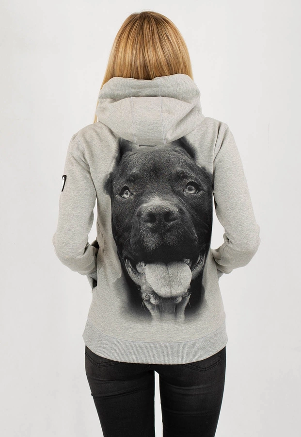 Bluza Pit Bull IR szara