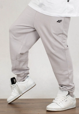 Dresy 4F SPMD012 H4Z22 jasno szare