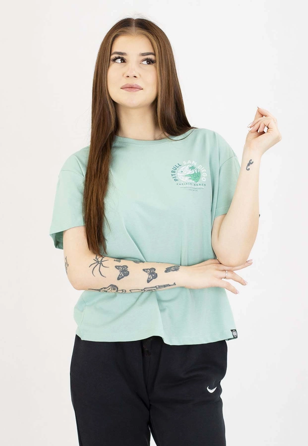 T-Shirt Pit Bull Oversize Planet Surf 170 light mint