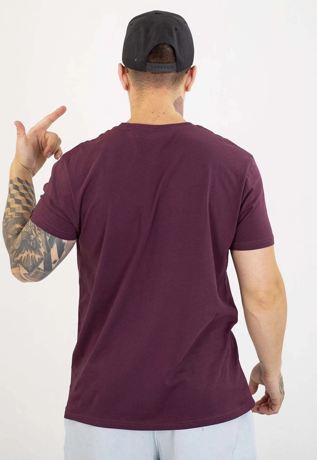 T-shirt Alpha Industries Basic 100501 bordowy
