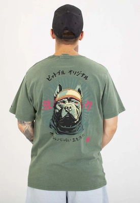 T-shirt Pit Bull Mt.Fuji 190 sage green