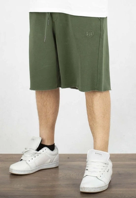 Spodenki Pit Bull Lancaster II zielone