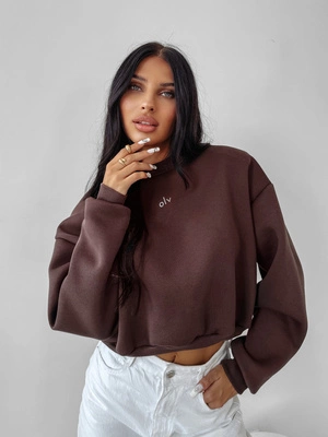 Bluza Olavoga Bez Kaptura Takedown brązowa