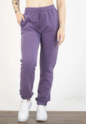 Dresy Pit Bull Lovia dusty grape