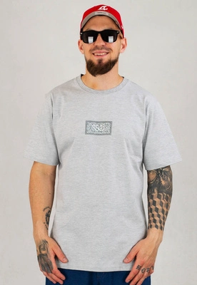 T-Shirt SSG Paisley szary