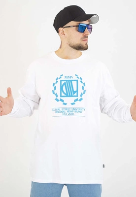Longsleeve Diil Laur biało niebieski